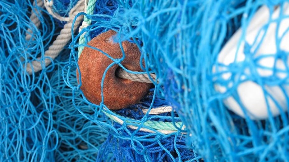 В Семилуках рыбака-браконьера оштрафовали на 2 тыс рублей