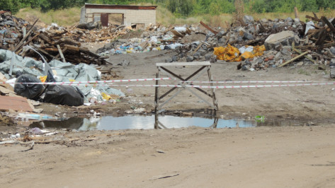 Роспотребнадзор проверит наличие вредных веществ в воздухе у незаконной свалки в Воронеже