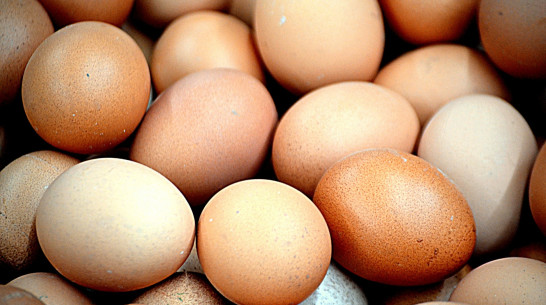 В Воронежской области продолжают дешеветь яйца