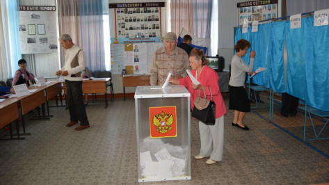 В Россошанском районе проголосовали свыше 29 тыс избирателей