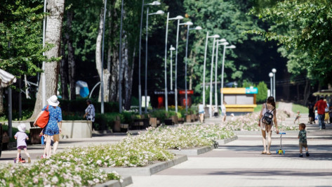 Владимир Нетесов: «В Воронежской области расширен круг лиц, имеющих право на бесплатную юрпомощь от государства»