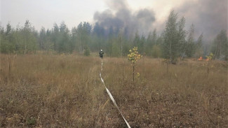 Площадь пожара на полигоне «Погоново» в Воронежской области сократилась в 2 раза 