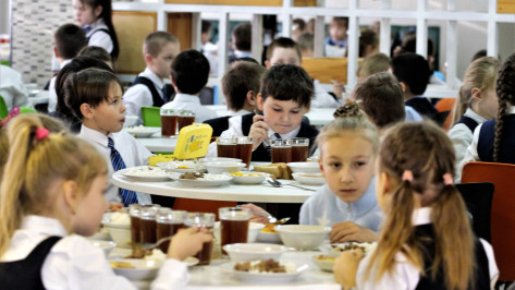 Школьников из многодетных семей обеспечат бесплатным питанием в Нововоронеже