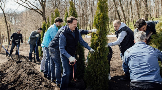Воинский мемориал в воронежском парке «Динамо» украсили туи