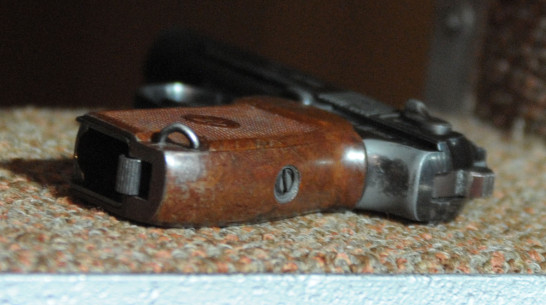 В Воронежской области мужчина смастерил пистолет для отпугивания лис и получил условный срок