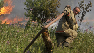 Становится жарко. Могут ли в Воронежской области повториться лесные пожары 2010-го?