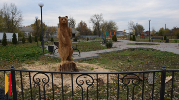 Сквер петропавловского села Бычок украсила деревянная скульптура медведя