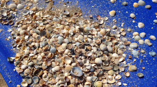 Интерес воронежцев к путешествиям упал на 39%