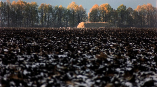Острогожский фермер выбросил плодородную почву