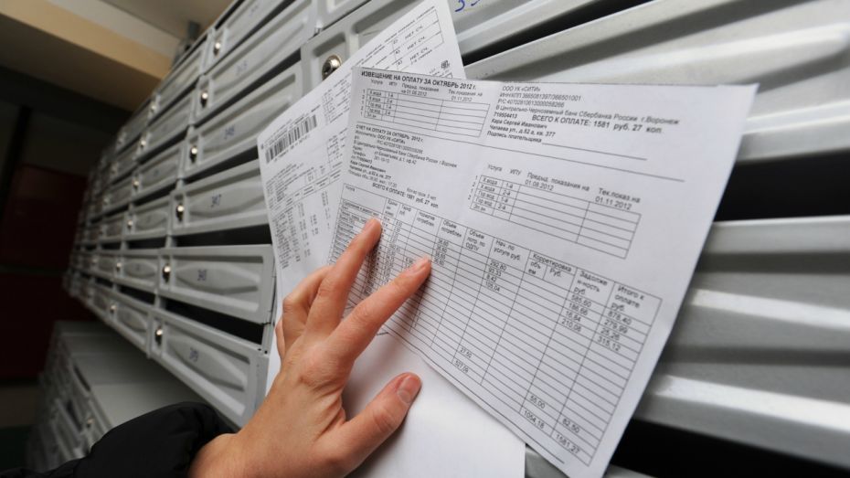 Субсидию на оплату «коммуналки» получили почти 77 тыс семей в Воронежской области