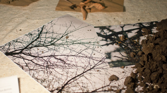 Воронежский художник Сергей Ряполов принес в галерею осенние листья и землю