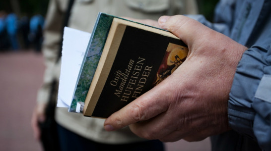 Маршак+Мандельштам. Как изменится фестивальный Воронеж?