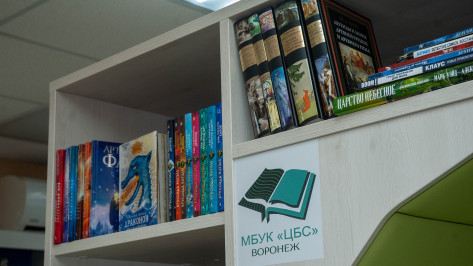 Воронежцам предложили собрать книги для небольших сельских библиотек