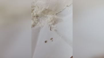 Воронежец купил творог с ползающими червями в магазине крупной сети