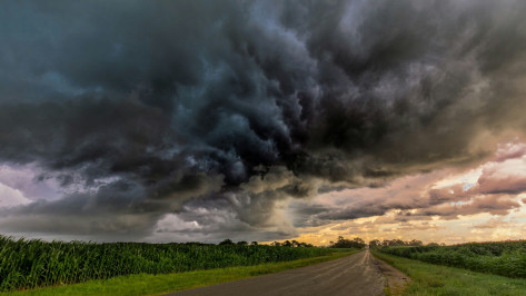 Грозу и дождь прогнозируют 30 мая в Воронежской области