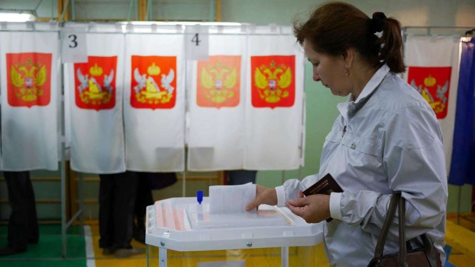 В Воронежской области к 18 часам проголосовали 40,79% избирателей