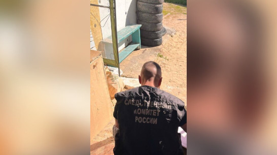 СК возбудил дело после детонации боеприпаса в хуторе Калач Воронежской области