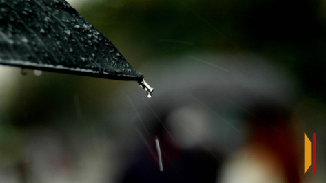 В Воронежской области объявлен желтый уровень погодной опасности из-за дождей