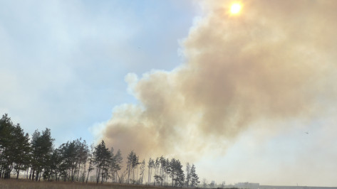 Воронежцев предупредили о риске пожаров и сильном ветре с порывами до 17 м/сек