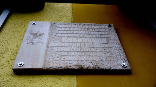 Волонтеры приведут в порядок мемориальные доски на улицах Воронежа 