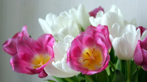 Мэрия Воронежа опубликовала план мероприятий на 8 Марта