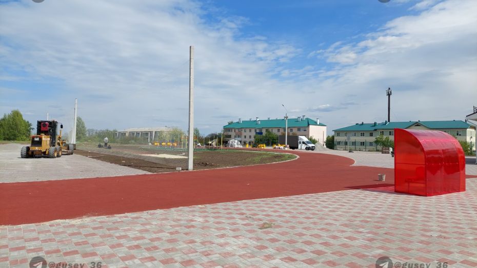 Александр Гусев рассказал о завершении строительства стадиона на юге Воронежской области