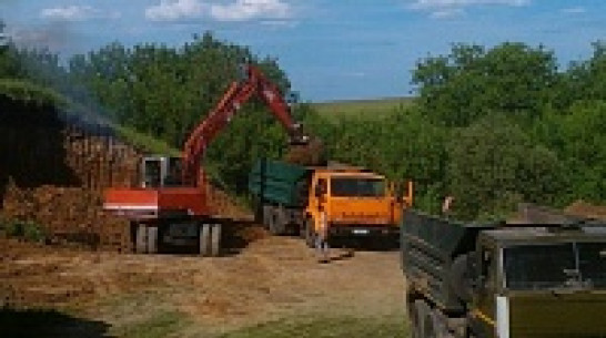 В нижнедевицком поселке местные жители восстанавливают пруд, пересохший 20 лет назад