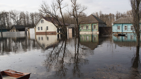 Воронежский губернатор: решили строить дом в зоне подтопления – будьте готовы к последствиям