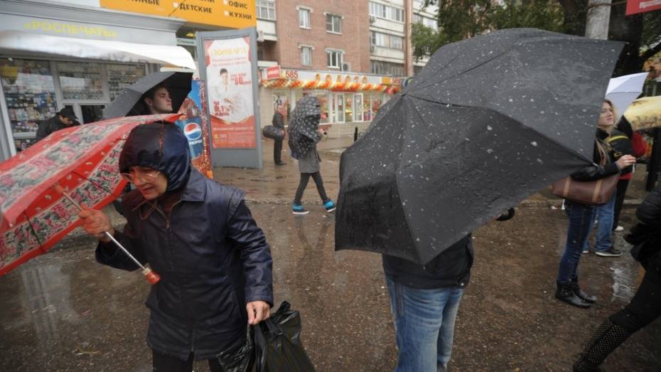 Спасатели вновь предупредили о сильном ветре и дожде в Воронежской области