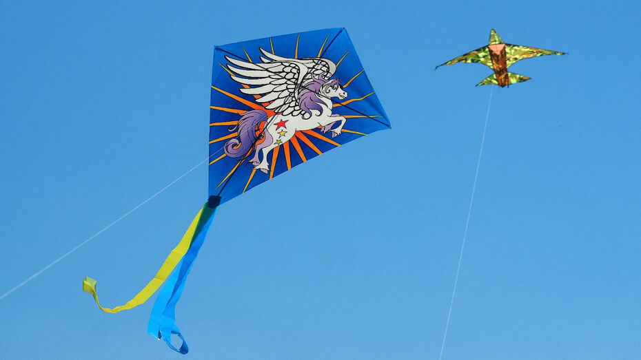 Воронежцев пригласили на фестиваль воздушных змеев