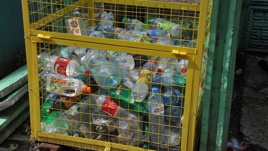 Воронежцам рассказали, как поставить контейнер для раздельного сбора мусора в своем дворе