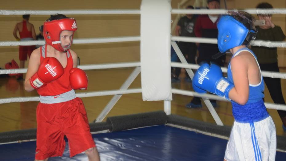 Грибановские боксеры завоевали 9 золотых медалей межрегиональных соревнований