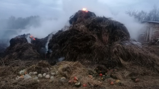В бобровском селе Семено-Александровка на приусадебном участке сгорело 30 тюков сена