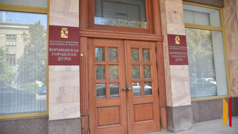 Названы имена депутатов Воронежской гордумы шестого созыва