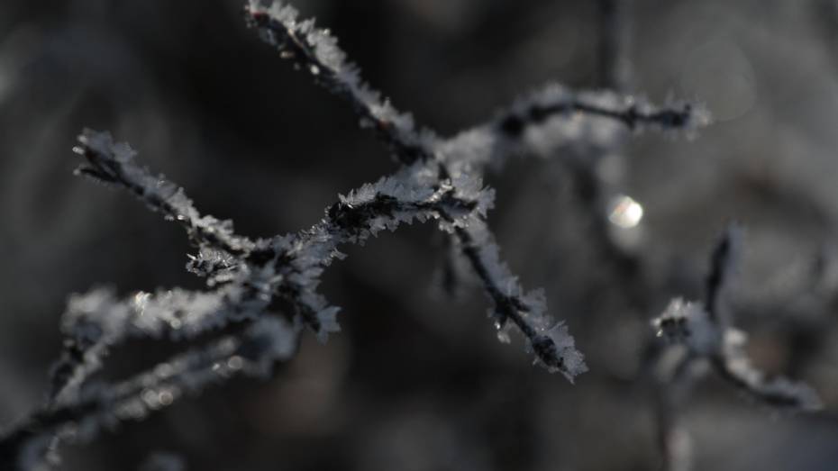 Похолодание до -7 градусов ожидается в выходные в Воронеже