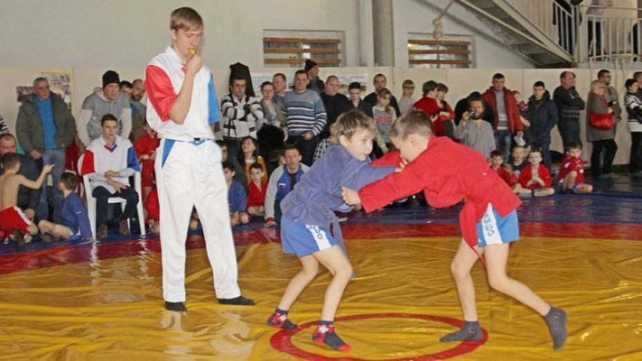 В Таловском районе введут самбо в школьную программу с сентября 2017 года