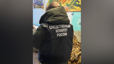 В Воронежской области сын зарезал родителей 29 января