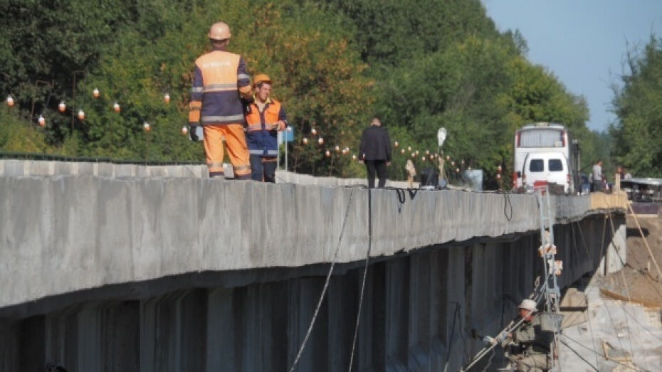 На разработку проекта реконструкции пешеходного моста в Воронеже выделили 3 млн рублей 