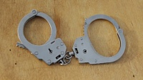 Семилукские полицейские задержали двух мужчин, обокравших воронежского дачника