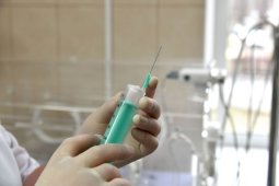 Почти 95 тыс доз вакцины от коронавируса поступят в Воронежскую область в начале 2021 года