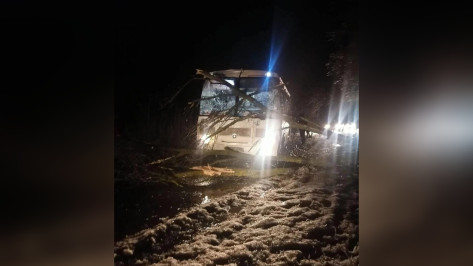 Под Воронежем пассажирский автобус врезался в дерево во время непогоды