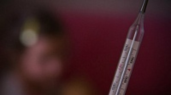 За неделю число заболевших ОРВИ в Воронежской области выросло в полтора раза