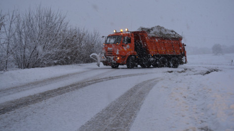 На очистку нижнедевицких дорог от снега выехало 14 единиц спецтехники