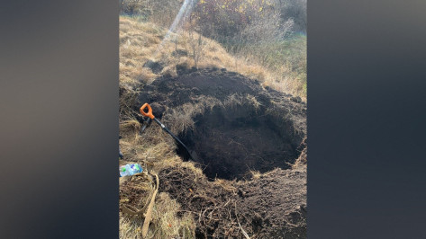 В Воронежской области нашли останки красноармейца, пропавшего в 1943 году