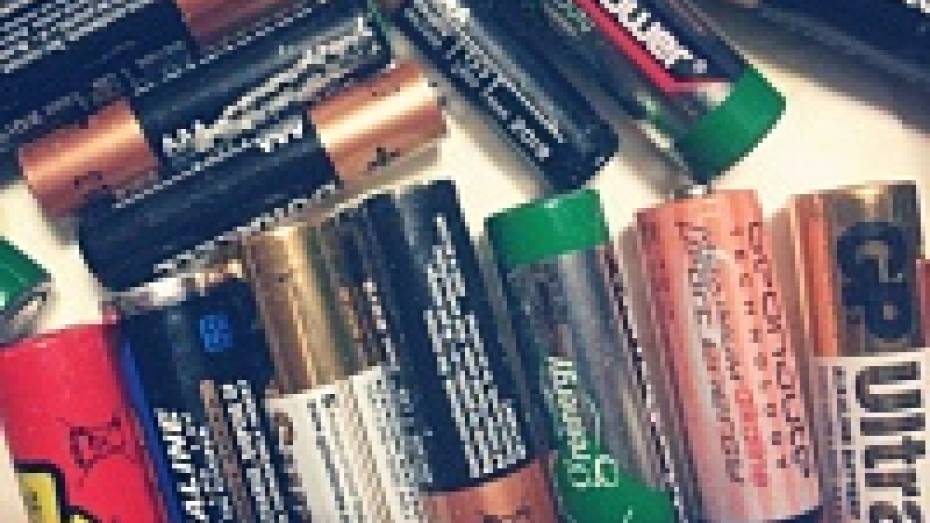 Воронежцы сдали больше 8 тыс использованных батареек за 2,5 месяца