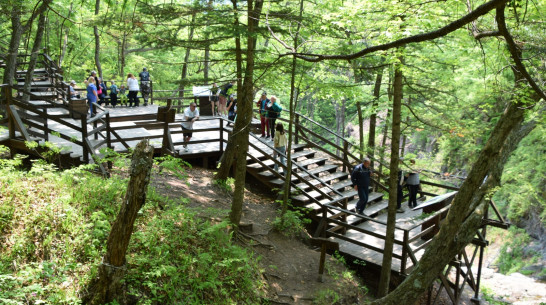 В нацпарке «Земля леопарда» открыта новая экотропа