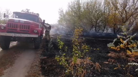 Воронежское село Бычок пострадало от пожара: видео