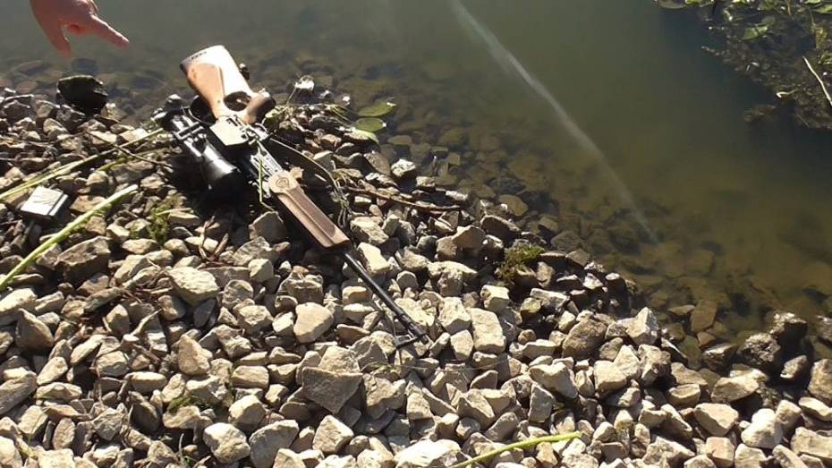 В Лискинском районе браконьеры застрелили на водопое кабана