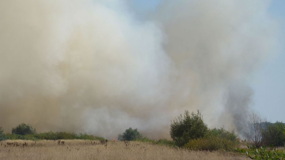 Пожары из-за сухой травы вновь разгораются в Воронежской области