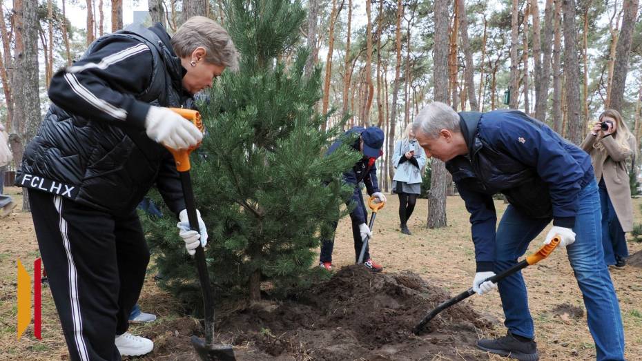 Врио губернатора Воронежской области Сергей Трухачев принял участие в общеобластном субботнике
